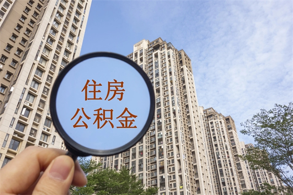 社保断交了6个月可以补吗-莘县公积金代办平台